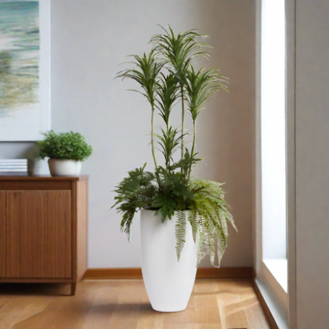 5.5' DRACENA COMBINATION IN TALL WHITE POT - Hedi's Furniture
