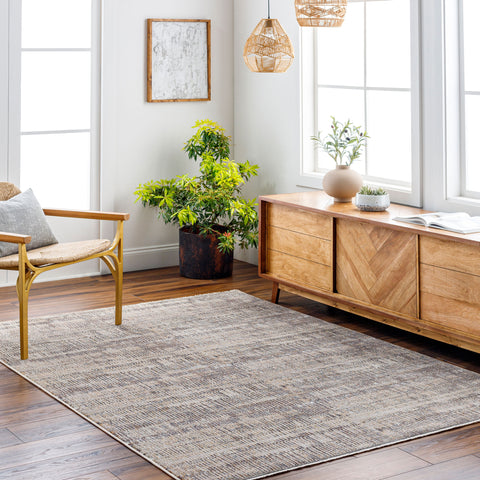 Aida Rug -AAD2304-579