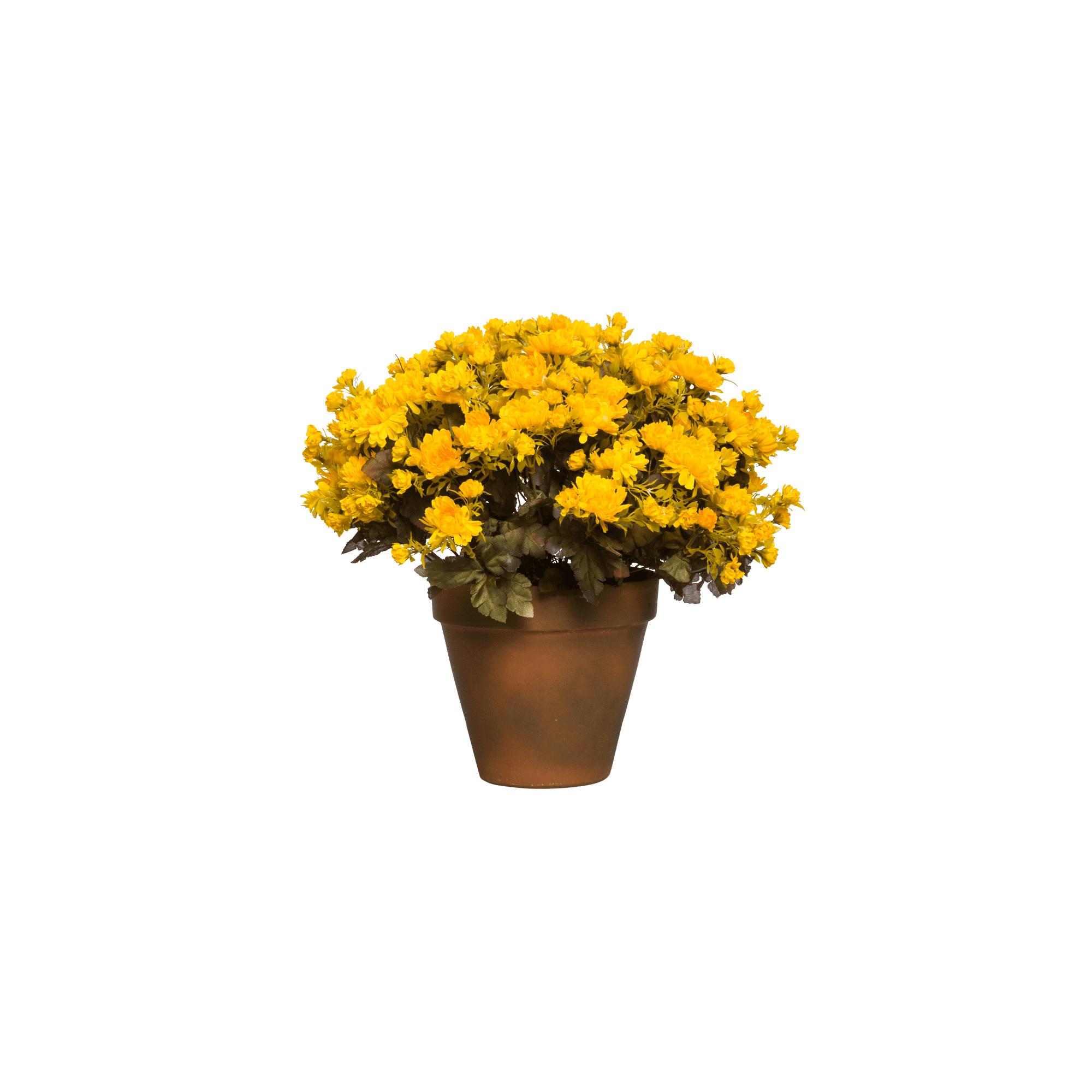 YELLOW MUM POT - Hedi's Furniture