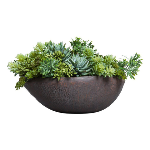 Mixed Succulent - Hedi's Furniture