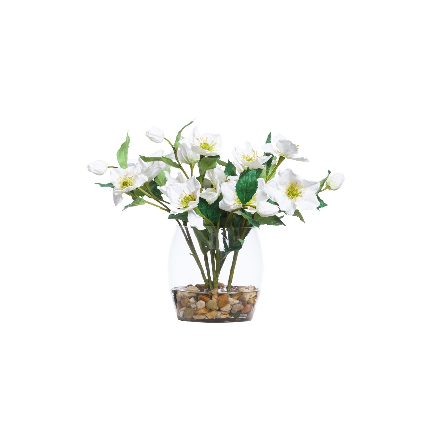 WHITE HELLEBORIS IN BARREL VASE - Hedi's Furniture