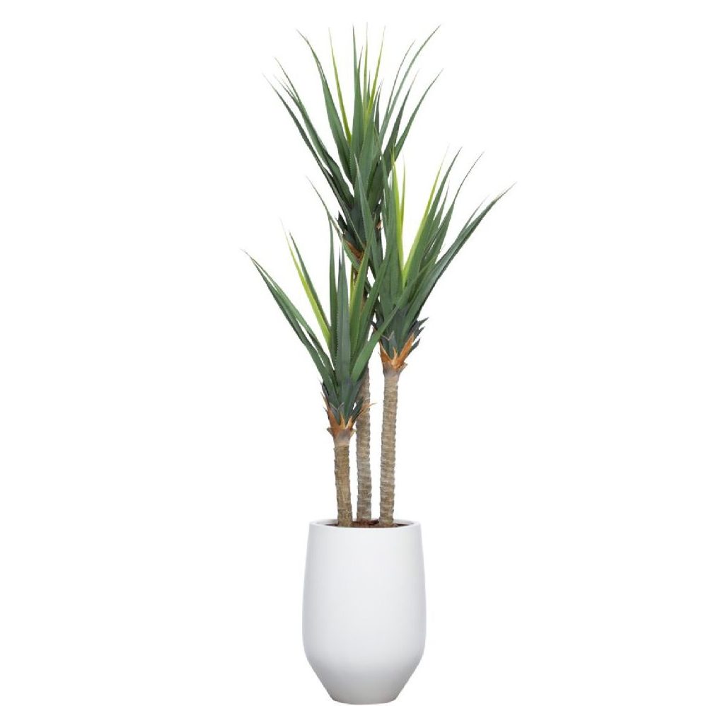 8' UV PANDANUS IN WHITE SANDSTONE ROUND POT - Hedi's Furniture