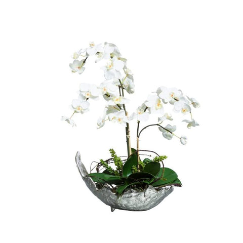 WHITE PHALONOPSIS IN SMALL SILVER BOWL - Hedi's Furniture