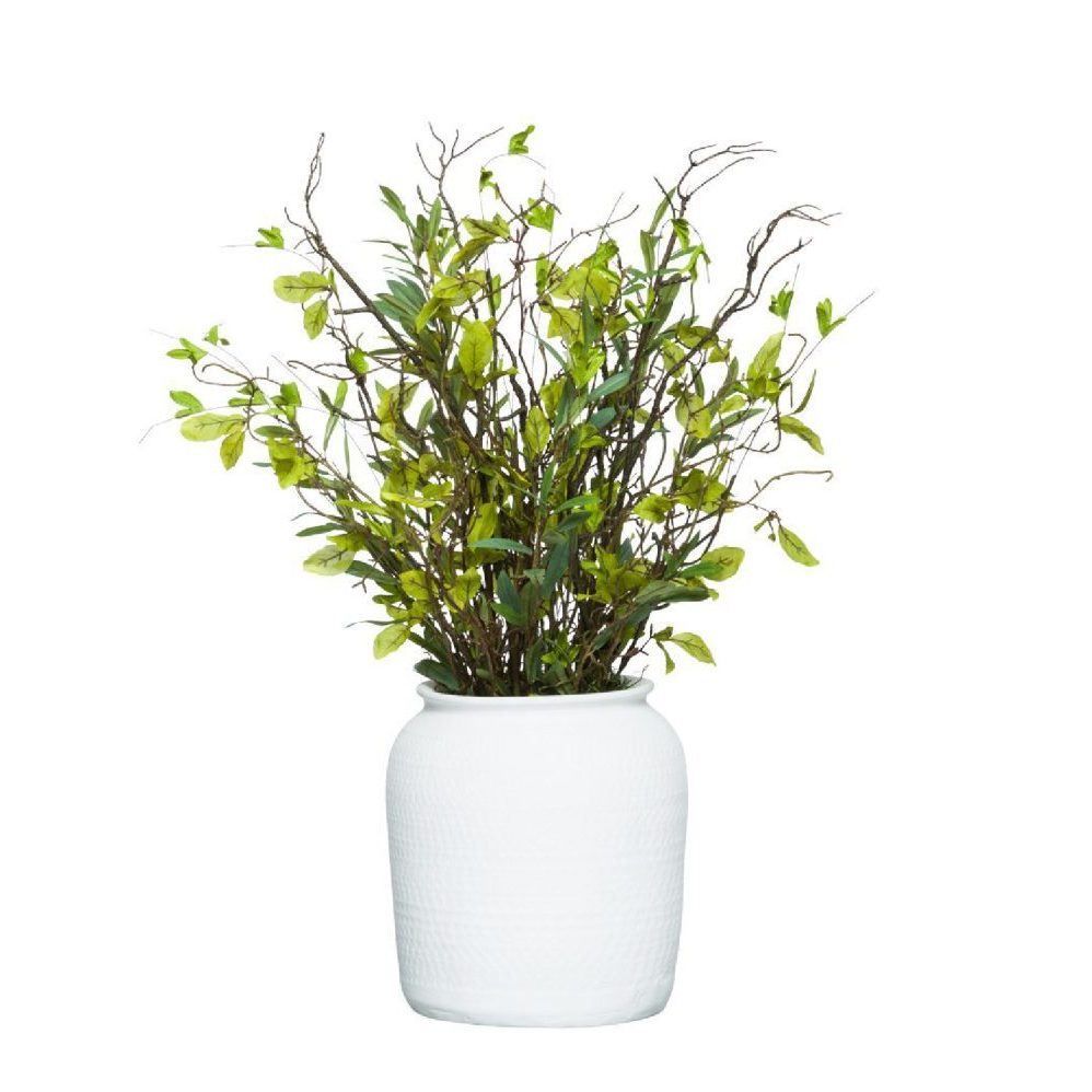 MIXED GREENERY IN WHITE - Hedi's Furniture