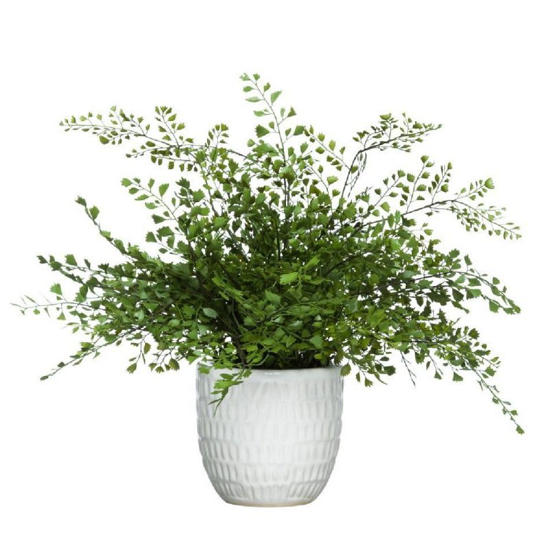 MAIDEN HAIR FERN IN WHITE - Hedi's Furniture
