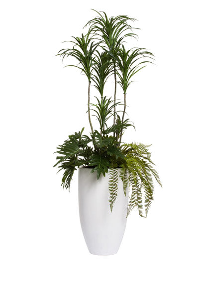 5.5' DRACENA COMBINATION IN TALL WHITE POT - Hedi's Furniture